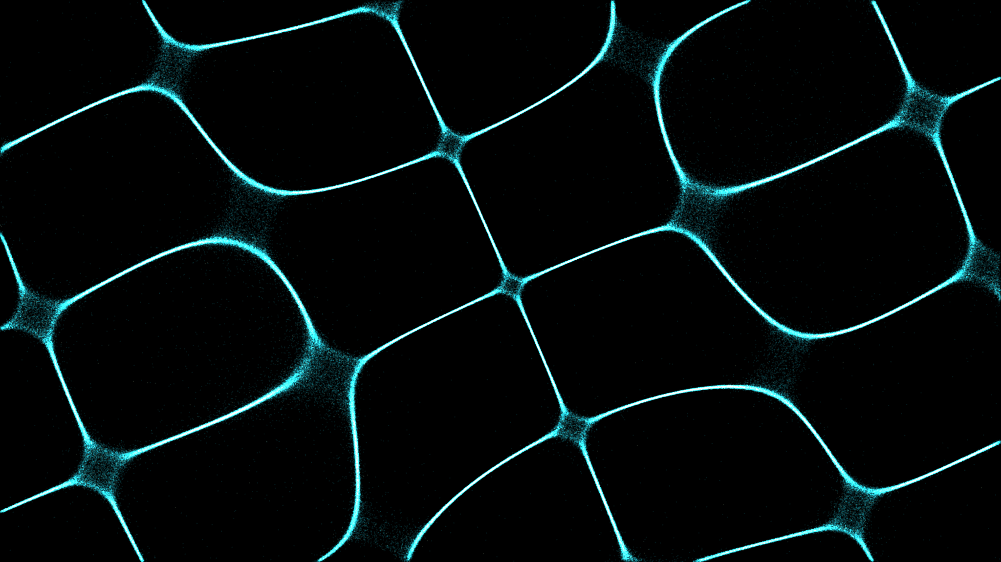 Shamba Network: Equipping Smallholder Farmers to Conserve Ecosystems